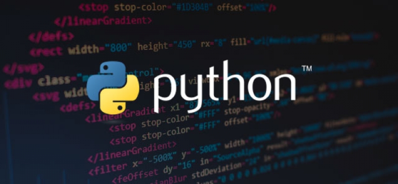 O que é Python? emagrecer, milionÃ¡rio, rico, bitcoins, moedas, sair da crise, violÃ£o, mÃºsica 