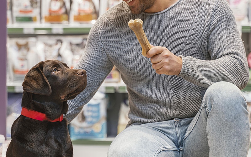 Quais são melhores pet shops  ? emagrecer, milionÃ¡rio, rico, bitcoins, moedas, sair da crise, violÃ£o, mÃºsica 